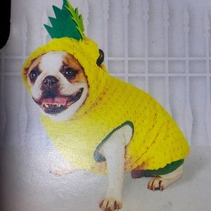🎈Sale🎈NWT Hyde And Eek Pineapple 🍍 Pineapple Costume